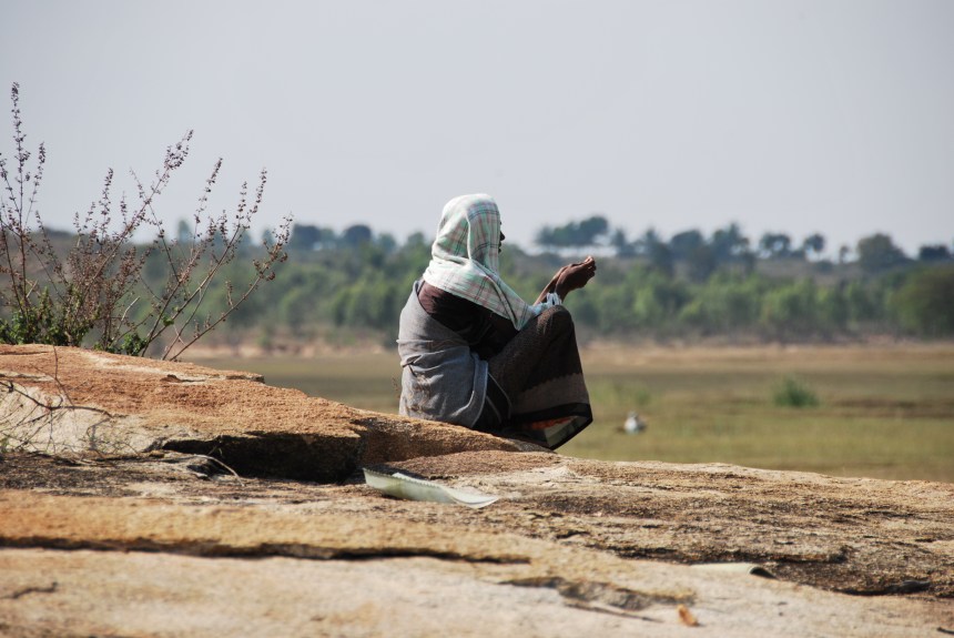 A young woman watches her kettle graze near the village of Yeluvahalli, two hours outside Bangalore, India, 11 January 2012. Photo: Danielle Batist
